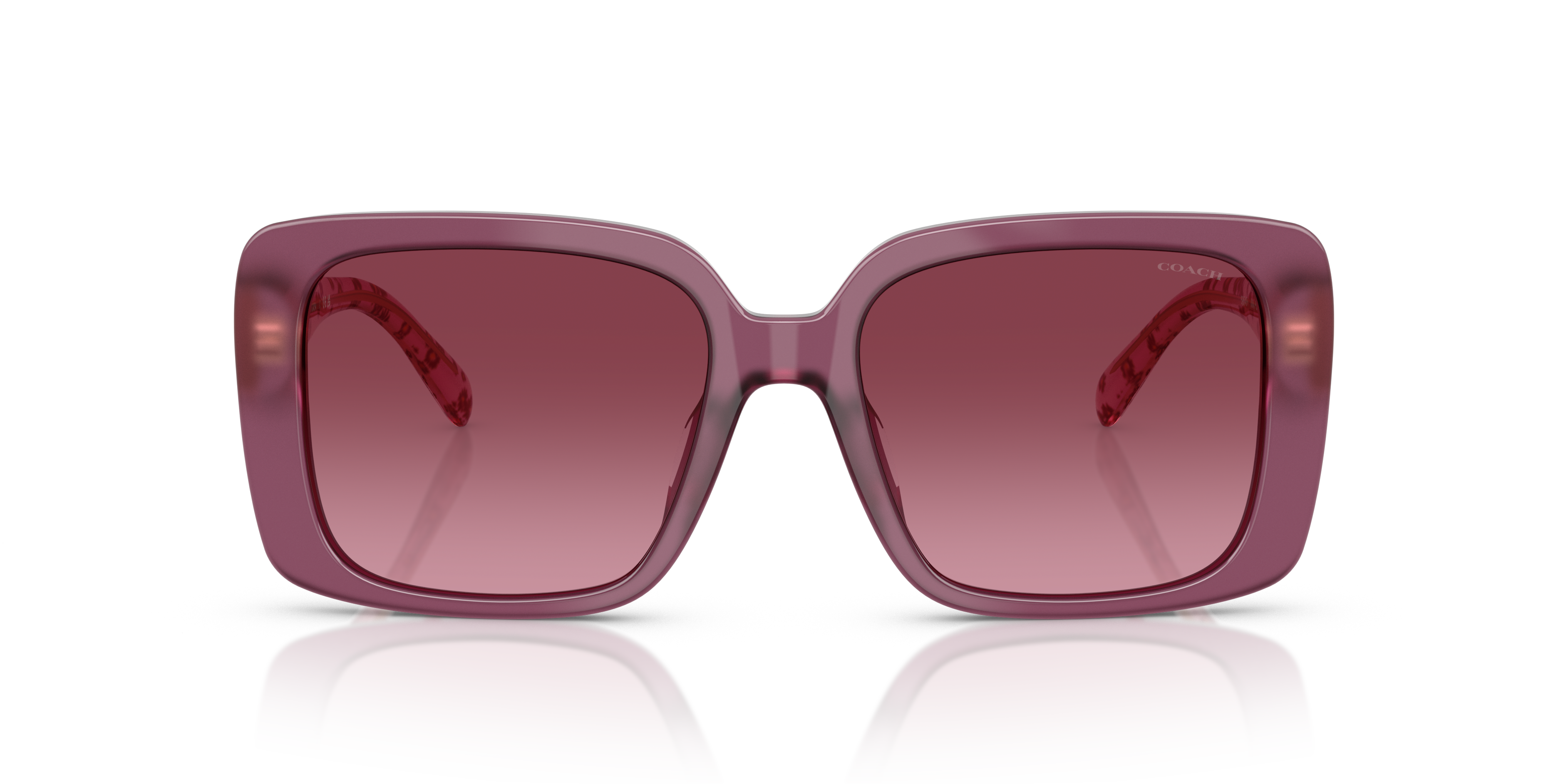 Coach HC8424U 59548H Cad54 